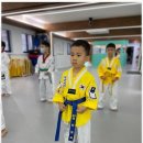 다온태권도 이미지