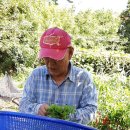 김동열농장 이미지