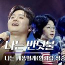 반딧불2 이미지