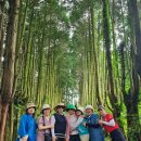 제주기사 이미지