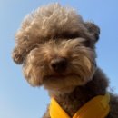 멍린이 대공원 이미지