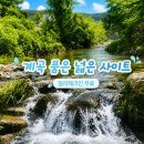 경기도 오토캠핑 여름 휴양지, 서후리캠핑장 계곡 캠핑 가이드