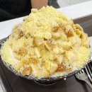 홍대입구역 빙수맛집 동교동카페 청자다방 고구마빙수 추천