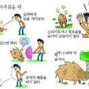 산행중 멧돼지를 만났을때..?? 이미지