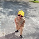 참진유통 | 타이레놀과 자폐의 연관성? 아기는 괜찮을까? 임산부 타이레놀 먹은 후기