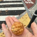 호두과자 | 호두과자 0티어 할머니 학화호도과자 본점 후기