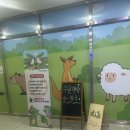 수달앤쥬 | [수원] 귀여운 동물 친구들을 가까이서 볼 수 있었던 ‘수달앤쥬‘ 내돈내산 후기!