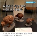 모아직물