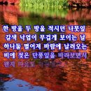 행복한 보통 사람.............. 이미지