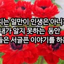 중년의 가슴에 오월이 오면 이미지