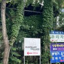 엘리펀트 | 용인 기흥구 브런치 맛집 엘리펀트 빌리지 후기