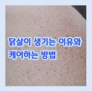 뷰티 엘 이미지