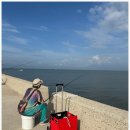 궁평항 주차장 공중화장실 이미지