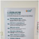 혼공 스터디 카페 이미지