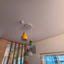 제주키즈풀빌라 나무와 아이 이미지