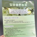 호텔 멜론 맛 그대로, 천안수신멜론 4kg 새벽수확 직배송 후기