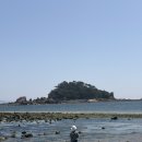 솔향기기사식당 | [260530-260531] 아이와 함께 덕적도 뚜벅이 여행 - 첫째날편