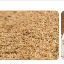 웃어요약국 이미지