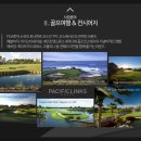 퍼시픽프리미엄투어