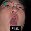 신안동물병원 | 여행과 쩐내나는 삶의 연속