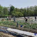 산동농협 이미지