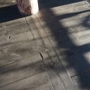 성원닭갈비 이미지