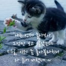 🌷나이 별 이칭(異稱)🌹 이미지