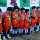 원주 FC축구클럽 이미지