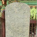 충신의사단비 이미지