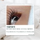 [범계] 범계역속눈썹펌 수블리뷰티 솔직후기