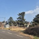 제주도성산공인중개사사무소 이미지