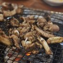 엄마꼼장어