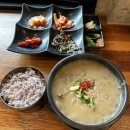 뚜벅이 제주 서쪽 조지기