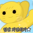 히트 앤 핏 화곡 이미지