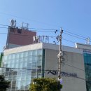 (주)다일 | 여수 바이주니헤어 다일점 여서동 미용실 아기머리 레이어드컷트