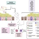 (주)뉴트리허브 | [공지] 부티르산 원료 종류 및 추천 제품
