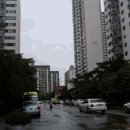 분당-233 이미지