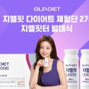 지엘 핏 이미지