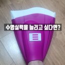 강화쑥쑥 | 장비 추천] 롱핀 대신 선택한 DMC 엘리트맥스 숏핀 오리발 퍼플, 수영 실력 쑥쑥 늘어나는 찐 만족 후기