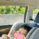 15개월 아기 통영 키즈카페 리틀비틀 후기