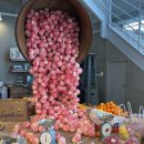 빨간산농장 이미지