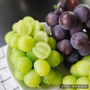 한송농장 이미지