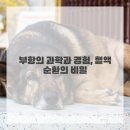 올본한의원 | 출산 후 몸살, 뜸치료가 보약보다 든든할 수 있을까요?