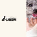 사랑할개 이미지