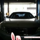 웅 모터스 이미지