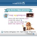 경남유우동물병원 | 강아지 치근단농양 어떻게 치료할까요? 경남 창원 진해에서 내원하여 치과 동물병원 후기