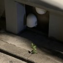 익산대성학원 | May. 2025