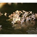 고깃집마당 이미지