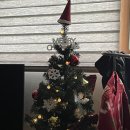 트리트멍멍 이미지