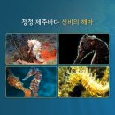 골드엔터 이미지